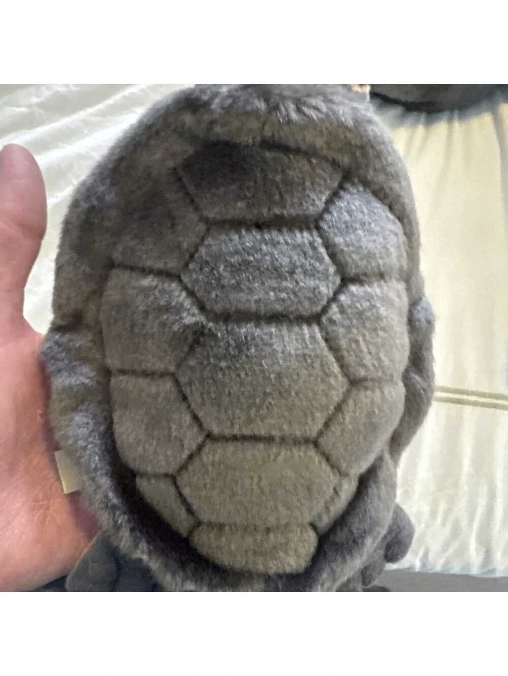 aurora turtle plush With Tags